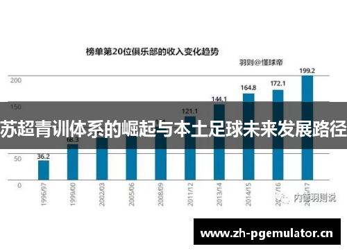 苏超青训体系的崛起与本土足球未来发展路径
